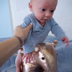 IMG 575